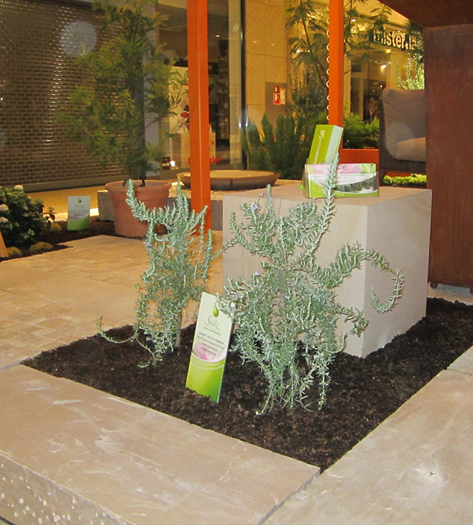 Gartenausstellung Rhein-Neckar-Zentrum