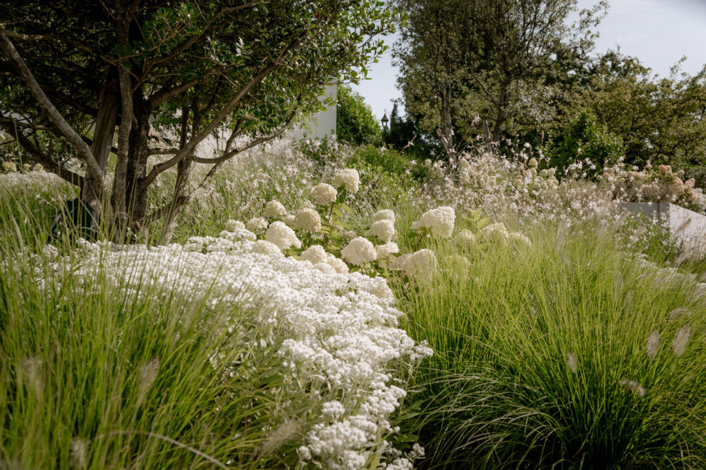 Seitz Gartenbau - Gartenbegrünung - Garten mit blühenden Blumen, Sträuchern und Bäumen.