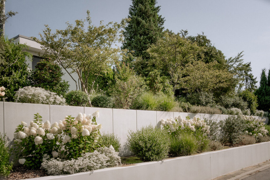 Seitz-Gartenbau - Steinmauer mit Bepflanzung