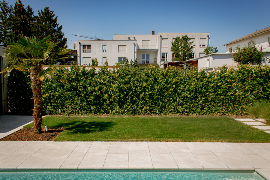 Seitz Garten- und Landschaftsbau - Alternative Hecke zur Abgrenzung des Gartens