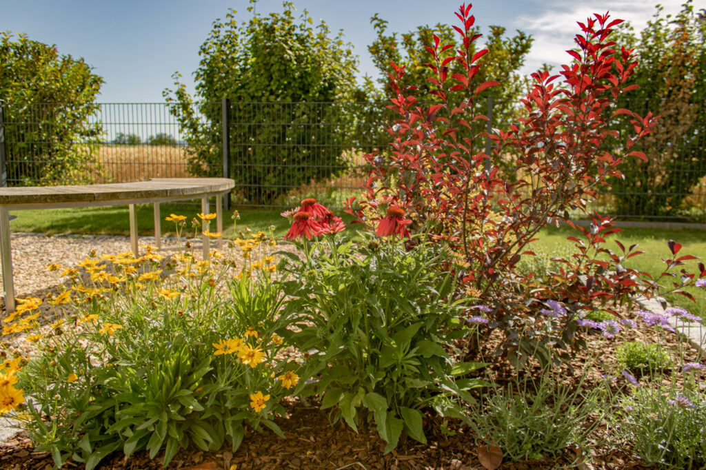 Seitz Garten- und Landschaftsbau - Herbstzauber im Garten