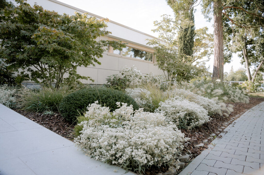 Seitz Garten- und Landschaftsbau - Herbstzauber im Garten
