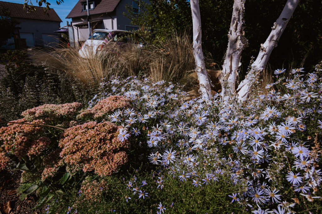 Seitz Garten- und Landschaftsbau - Herbstzauber im Garten