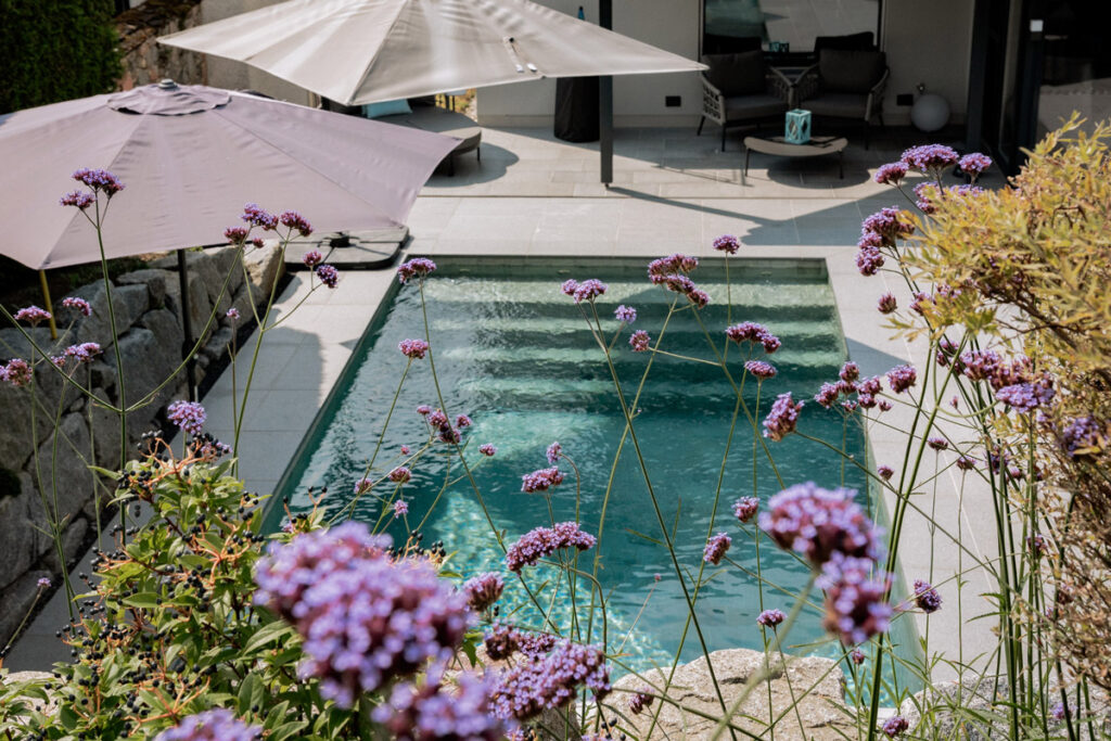 Seitz Garten- und Landschaftsbau - Ein neu angelegter Garten mit Pool