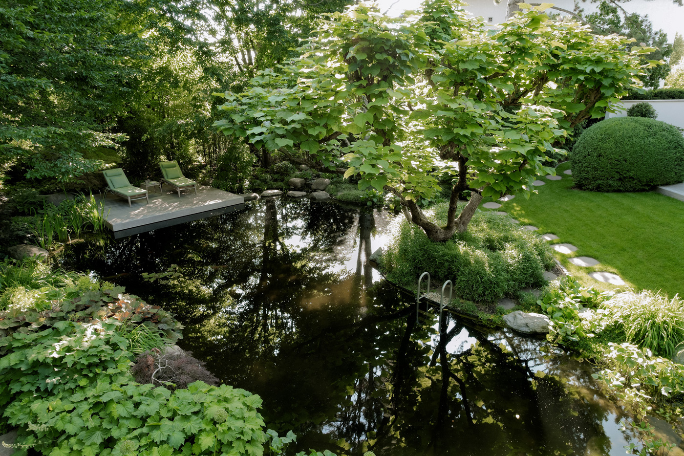 Schattenspendender Baum auf Rasenfläche neben dem großen Schwimmteich
