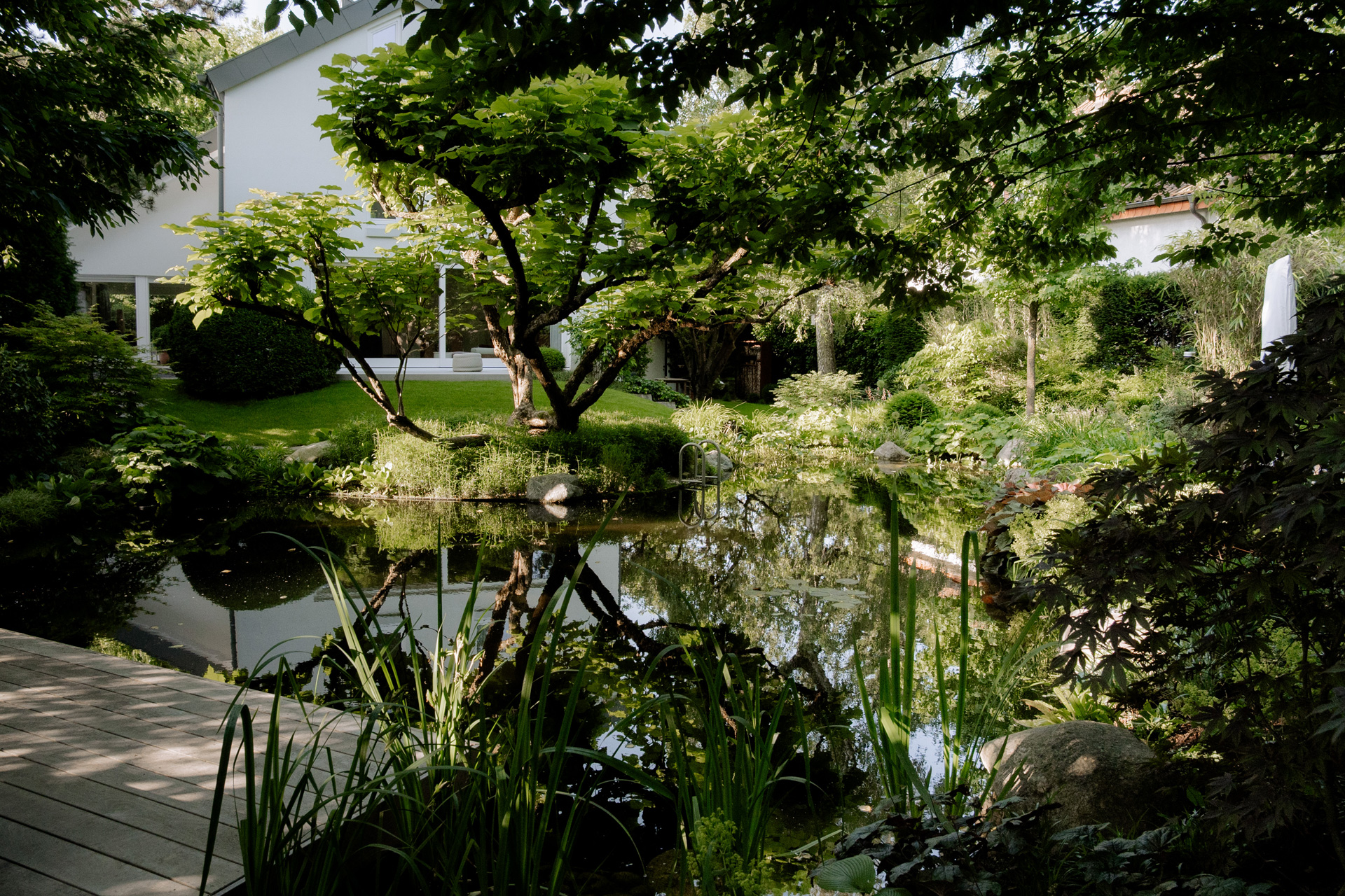Schwimmteich umgeben von üppigier Bepflanzung und kleinem Holzsteg zum Sitzen oder für Liegestühle. Die vielfältige Bepflanzung sorgt für viel Schattenfläche