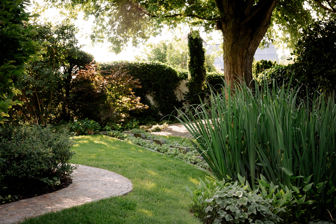 Gepflasterter Weg durch den Garten, umrahmt von Gräsern und verschiedenen Kühle spendende Pflanzen