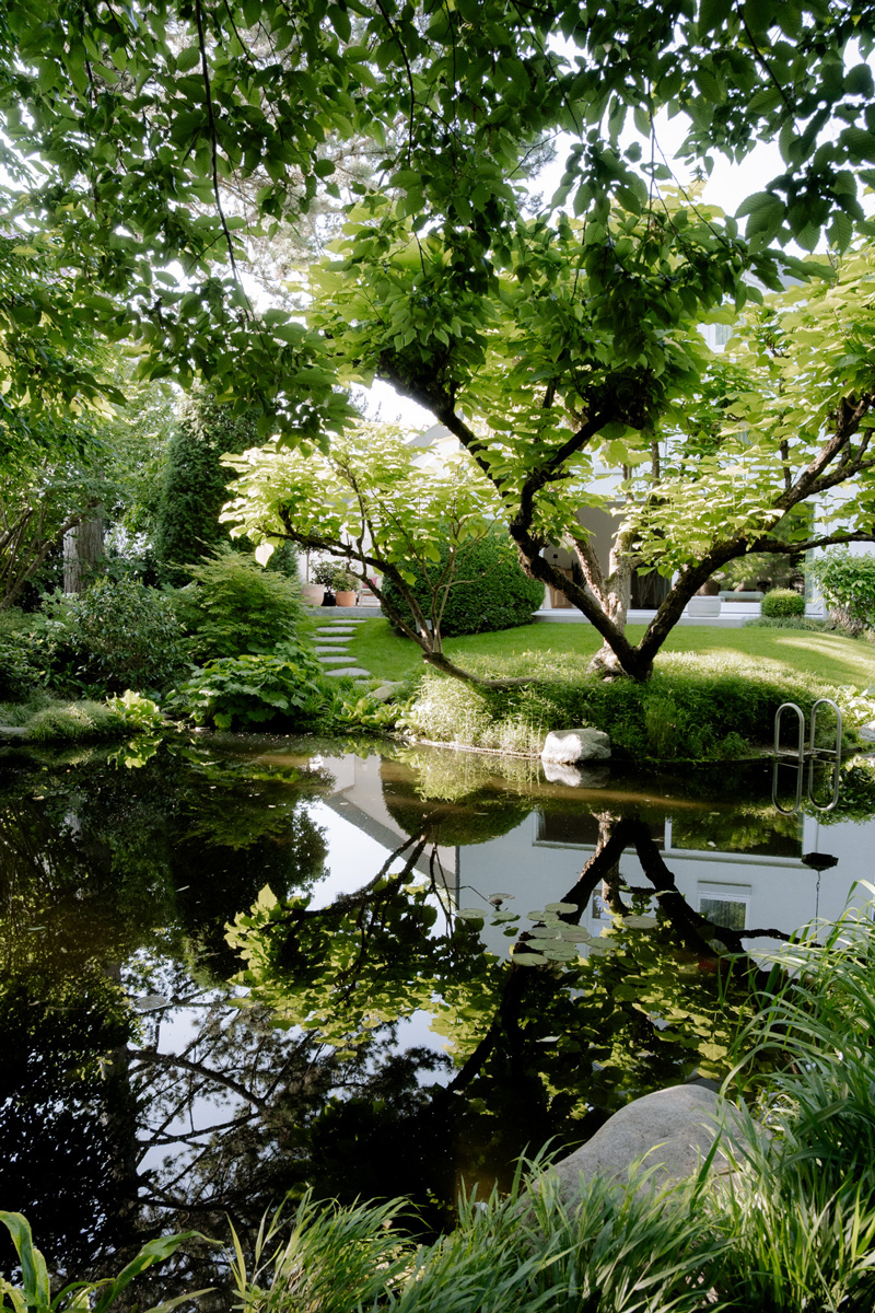 Schattenspendender Baum auf Rasenfläche neben dem großen Schwimmteich