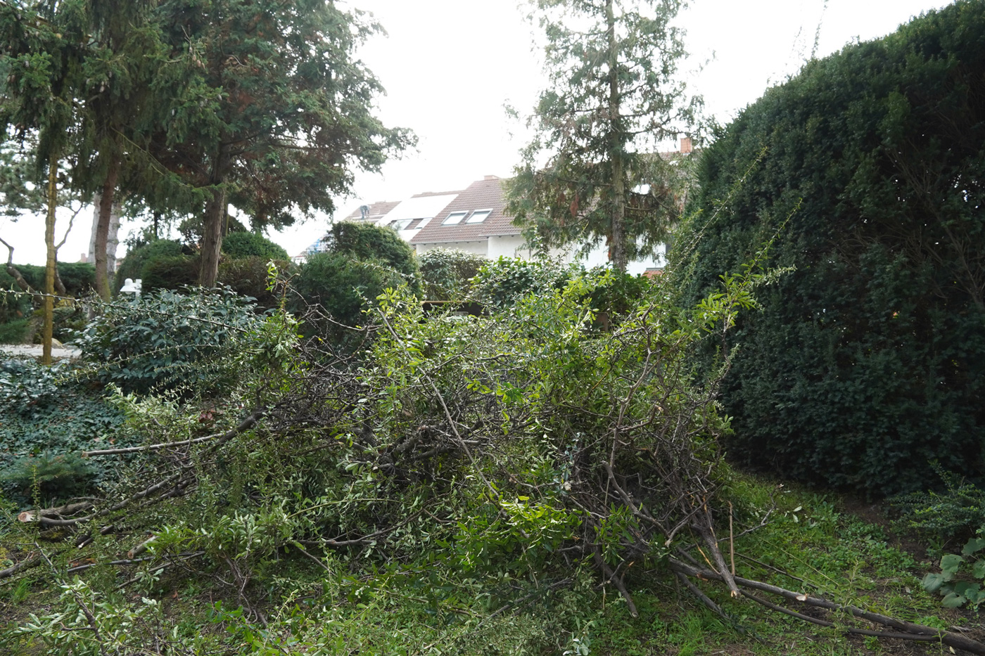 garten vor unserer umgestaltung