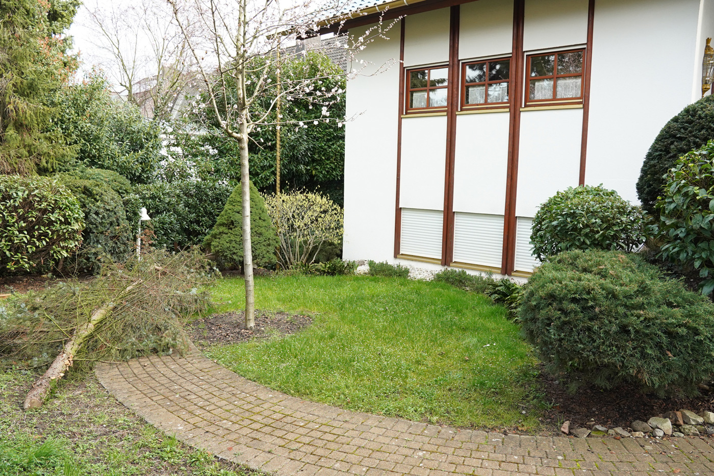 garten vor der umgestaltung ohne pool